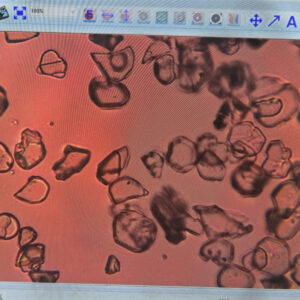 酸化アルミニウムの粉砕によるリン化インジウムウェハーの研磨